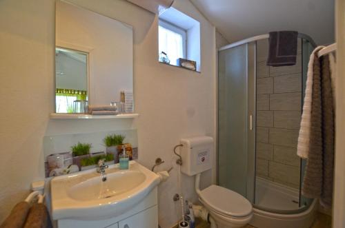 a bathroom with a sink and a toilet and a shower at Bavica Apartments in Rovinj