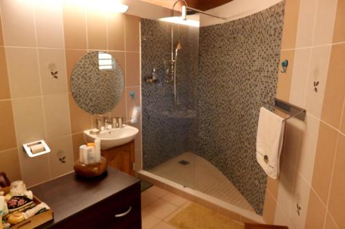 a bathroom with a shower and a toilet and a sink at La Rond'Dada in Sainte-Suzanne
