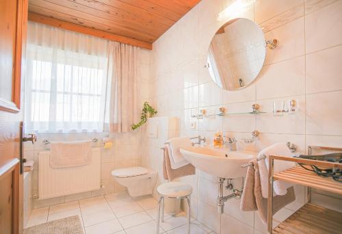 La salle de bains est pourvue d'un lavabo, de toilettes et d'un miroir. dans l'établissement Haus Reindl, à Leutasch