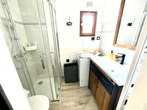 une salle de bain avec une douche, des toilettes et un lavabo dans l'établissement L’ESCALE, à Bergerac