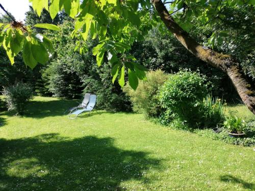 a white bench sitting in the grass in a garden at Ferienhaus "Peter" Objekt ID 12075-0 in Möllenhagen