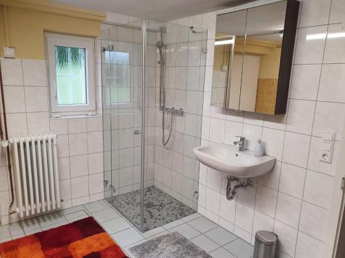 a bathroom with a shower and a sink at Ferienwohnung Seegarten in Öhningen