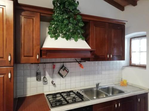 a kitchen with a sink and a green plant hanging from the cabinets at Poggio Massiccioli in Poggibonsi