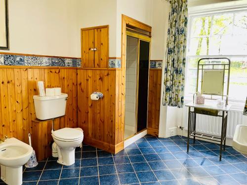 a bathroom with a toilet and a sink at West Plean House in Stirling