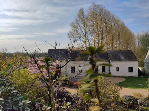 a white house with trees in the background at Les Logis d Ussé in Rigny-Ussé