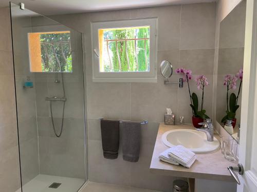 a bathroom with a shower and a sink and a shower at Villa de Miha in Valbonne