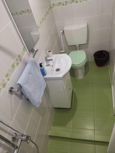 a small bathroom with a toilet and a sink at Căsuțele Deltei in Mahmudia