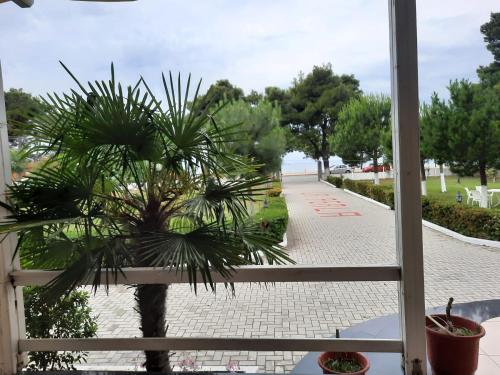 Gallery image of Hotel La Perla in Shëngjin