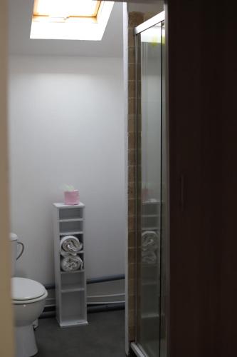 a bathroom with a toilet and a glass shower at L'Atelier @ Le Prielle in Madiran