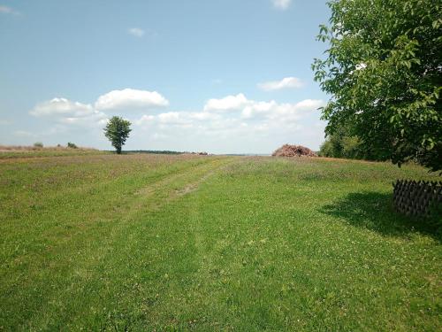 a field of green grass with a tree in the middle at Jutta Deluxe Farmhouse in Zwettl Stadt