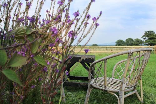 a wooden chair sitting next to a table and purple flowers at The shepherds hut in Shrewsbury