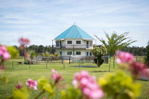 a house with a blue roof in a field with flowers at Tsitsikamma Cottages in Witelsbos