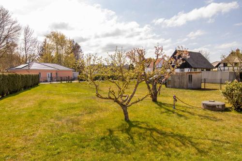 Κήπος έξω από το Bungalow in Lubmin