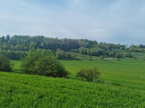 Příroda nedaleko prázdninového domu