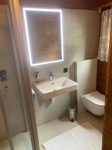 a bathroom with a sink and a toilet at Ferienwohnungen im Blockhaus Metzler in Schwarzenberg im Bregenzerwald