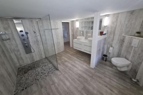 a bathroom with a shower and a toilet and a sink at Büdnerhaus in Middelhagen