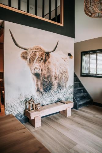 Zvířata v bed and breakfast nebo okolí