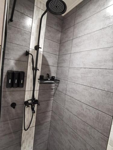 une salle de bain avec une douche avec pommeau de douche dans l'établissement Gîte de charme dans un cadre calme et reposant, à Châtellerault