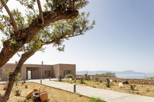 a house in the desert with a tree at Aristotelis Residence in Petres