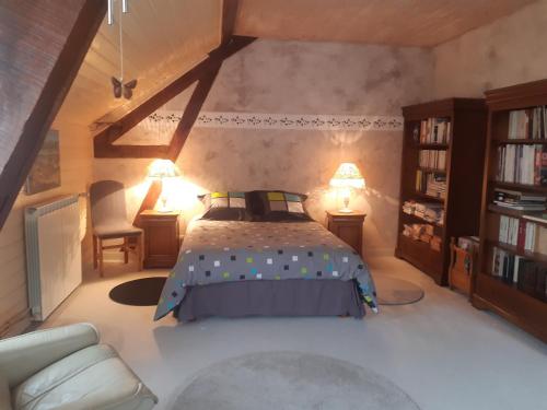 um quarto com uma cama e uma estante de livros em le Trésor de Gabaret em Burosse-Mendousse