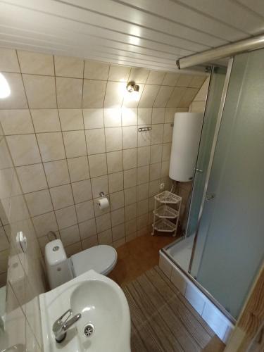 a bathroom with a toilet and a sink and a shower at Domki Noclegowe 693-664-683 in Solina