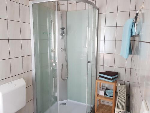 a shower with a glass door in a bathroom at Ferienwohnung Schützenhaus in Bad Ems