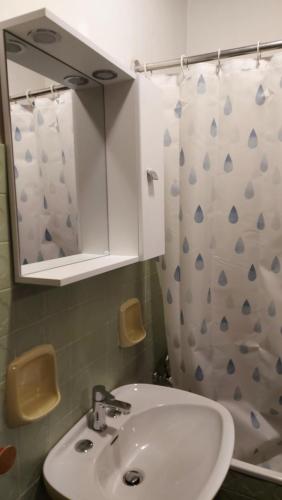 维罗纳Mansarda Romantica的浴室设有水槽、镜子和浴帘