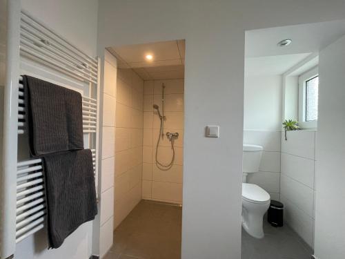 ein Bad mit einer Dusche und einem WC. in der Unterkunft W2 Kontaktloser 24h CHECK IN, kostenloses W-Lan, Küche, Parkplatz in Bückeburg