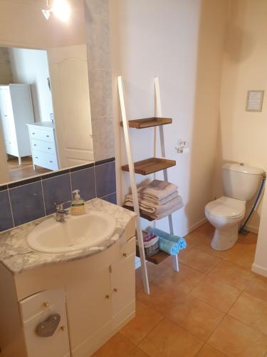 a bathroom with a sink and a toilet at Chez Louis Gites in Fumel