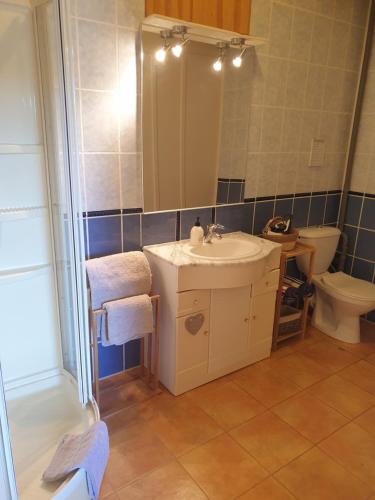a bathroom with a sink and a toilet and a mirror at Chez Louis Gites in Fumel