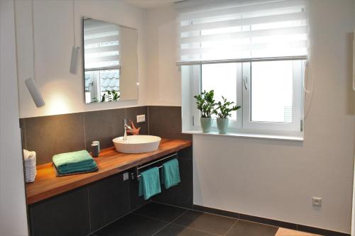 uma casa de banho com um lavatório e uma janela em REBHAUS Ferienwohnung Weinlaube em Sipplingen