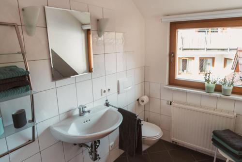 a bathroom with a sink and a toilet and a window at OBSTHAUS Ferienwohnung Apfel in Sipplingen