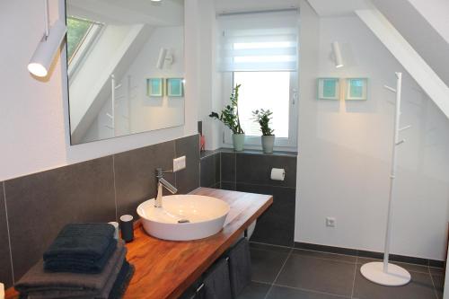 La salle de bains est pourvue d'un lavabo et d'une douche. dans l'établissement REBHAUS Ferienwohnung Rebdach, à Sipplingen