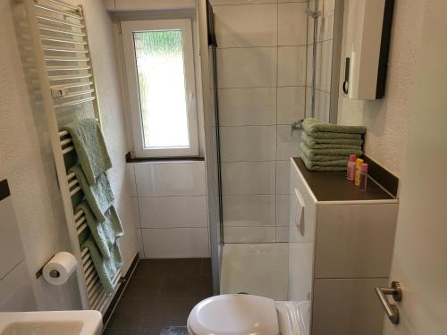 Kúpeľňa v ubytovaní Ferienwohnung Saturn