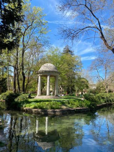 Le jardin des plantes