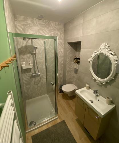 une salle de bain avec une douche, un lavabo et des toilettes dans l'établissement Magnifique appartement au centre ville avec parking privé et gratuit LE JARDIN DES PLANTES, à Dijon