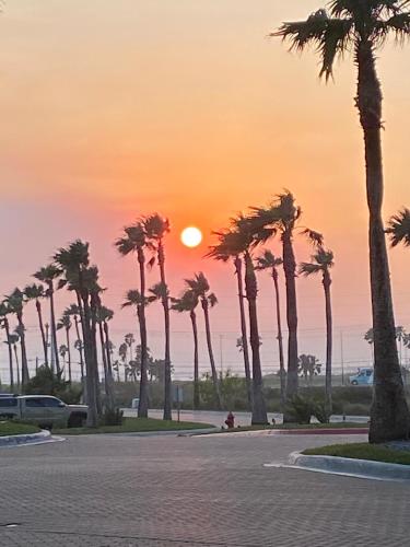 a group of palm trees with the sunset in the background at Margaritaville Beach Resort South Padre Island in South Padre Island