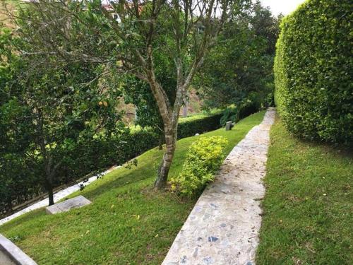 a stone path in a park with a tree at CASA VACACIONAL CAPINA87 in Pereira