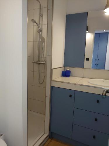 une salle de bain avec une douche, un lavabo et un miroir dans l'établissement 4RO501 Appartement avec belle terrasse, à Collioure