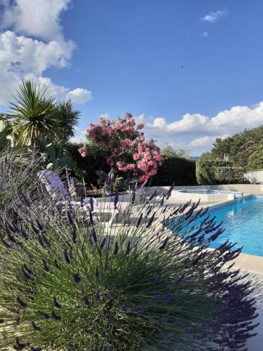 Gallery image of Gîte provençal indépendant avec piscine chauffée : LE SUY BIEN in Flayosc