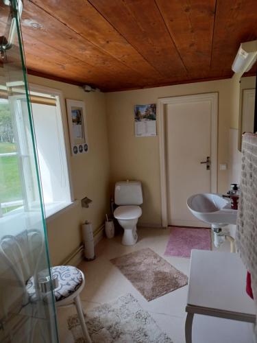 La salle de bains est pourvue de toilettes et d'un lavabo. dans l'établissement Kopparhyttan1, à Valdemarsvik