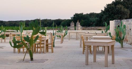 Gambar di galeri bagi Masseria Cuturi di Manduria