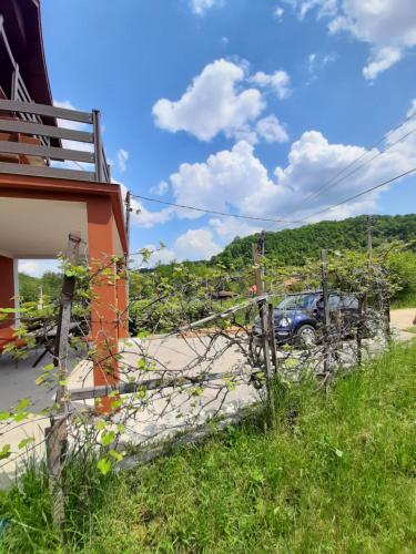Příroda nedaleko apartmánu