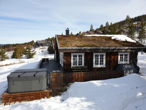 a house with a grass roof in the snow at ReveEnka - cabin in Trysil with Jacuzzi for rent in Trysil
