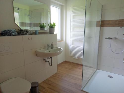 a bathroom with a sink and a glass shower at Ferienwohnung Emil's Kuhwiese in Breitenbach