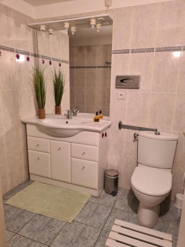 une salle de bain avec toilettes et lavabo dans l'établissement Joli Mazet Provençal de Camargue, à Arles