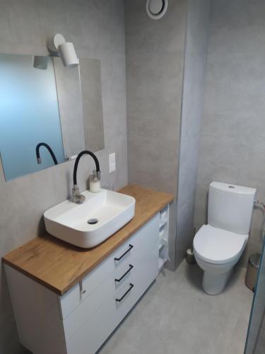 a bathroom with a sink and a toilet at Dom w Czostkowie na Suwalszczyźnie in Rospuda