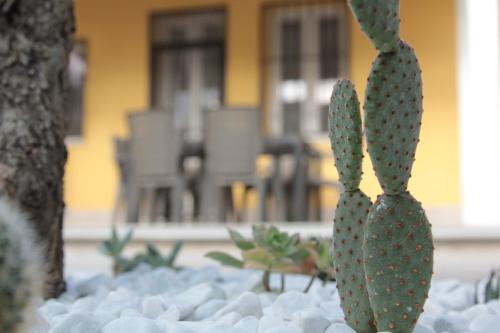 Φωτογραφία από το άλμπουμ του AGAS Exclusive Apartment σε Catanzaro