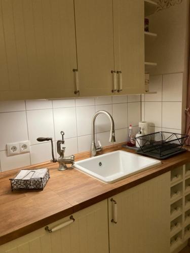 阿爾肯的住宿－Ferienwohnung Fröhlich，厨房内的厨房台面配有白色水槽