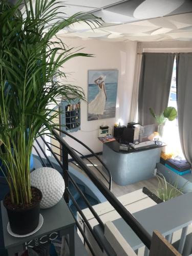 Cette chambre dispose d'un bureau et d'un escalier avec des plantes. dans l'établissement Hôtel Aunis-Saintonge, à Royan